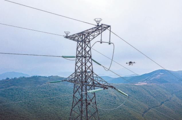 3月15日，湖州供電公司員工對特高壓密集通道開展無人機(jī)自主巡檢。顧偉 攝